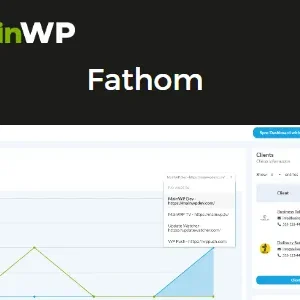 MainWP Fathom