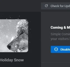 Slider Revolution Coming Soon & Maintenance Add-on