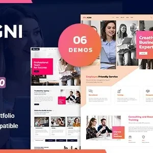 Agni - Consulting Business