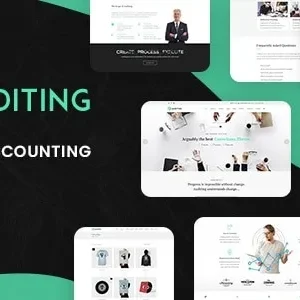 Auditing - Accounting Consultant, Finance WordPress Theme
