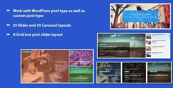 WP Responsive Recent Post Slider Pro WP OnlineSupport