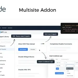 WPCode Multisite Addon