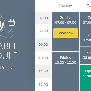 Timetable Responsive Schedule For WordPress