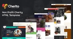 Cherito – Non Profit Charity WordPress Theme