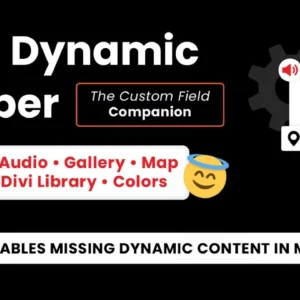 Divi Dynamic Helper