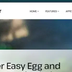 Foodior 1.0 – Personal Food Blog WordPress Theme