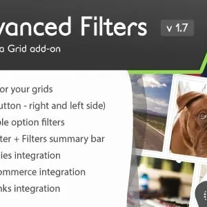 Media Grid Advanced Filters add-on