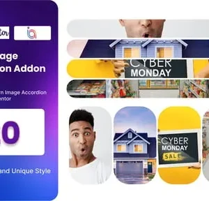 BWD Image Reveal Animation Addon For Elementor