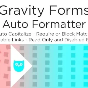 Gravity Forms Auto Formatter