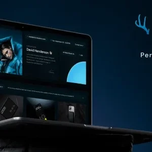 STAG - Personal Portfolio WordPress Theme