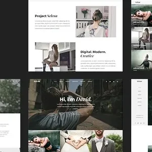 Selena. – Multipirpose WordPress Theme