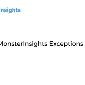 MonsterInsights Exceptions