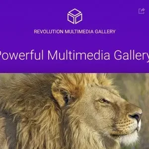 Revolution Multimedia Gallery - Wordpress & WooCommerce Plugin