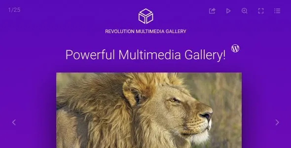 Revolution Multimedia Gallery - Wordpress & WooCommerce Plugin