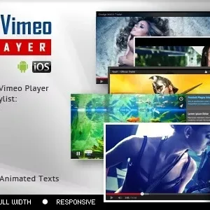 Youtube Vimeo Video Player and Slider WP Plugin