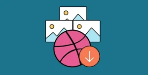 Envira Gallery Dribbble Addon