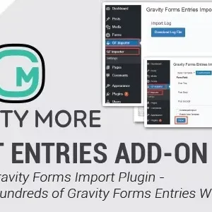 Import Entries for Gravity Forms
