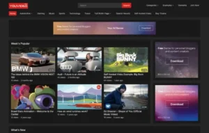 WP Enjoy YouVideo Pro
