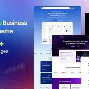 Biznity – Multipurpose Business WordPress Theme