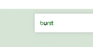 Burst Statistics Pro