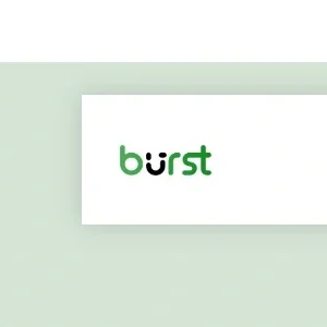 Burst Statistics Pro