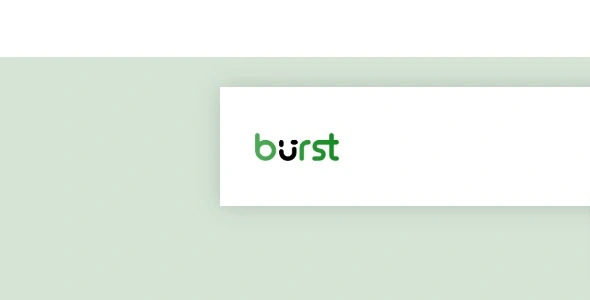 Burst Statistics Pro