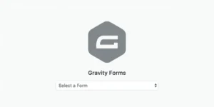 Gravity Forms Gutenberg
